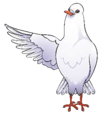 DISC Birds Dove