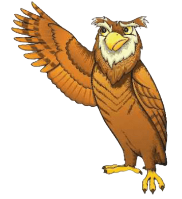 DISC Birds Owl