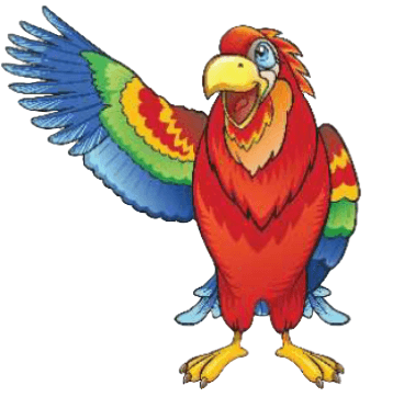 DISC Birds Parrot