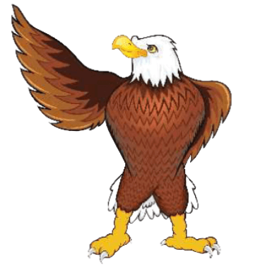 DISC Birds Eagle